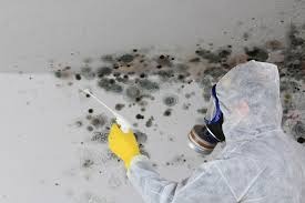 Best Mold Prevention Services  in Hebron Estates, KY